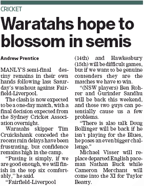 Waratahs Blossom Waratahs Blossom