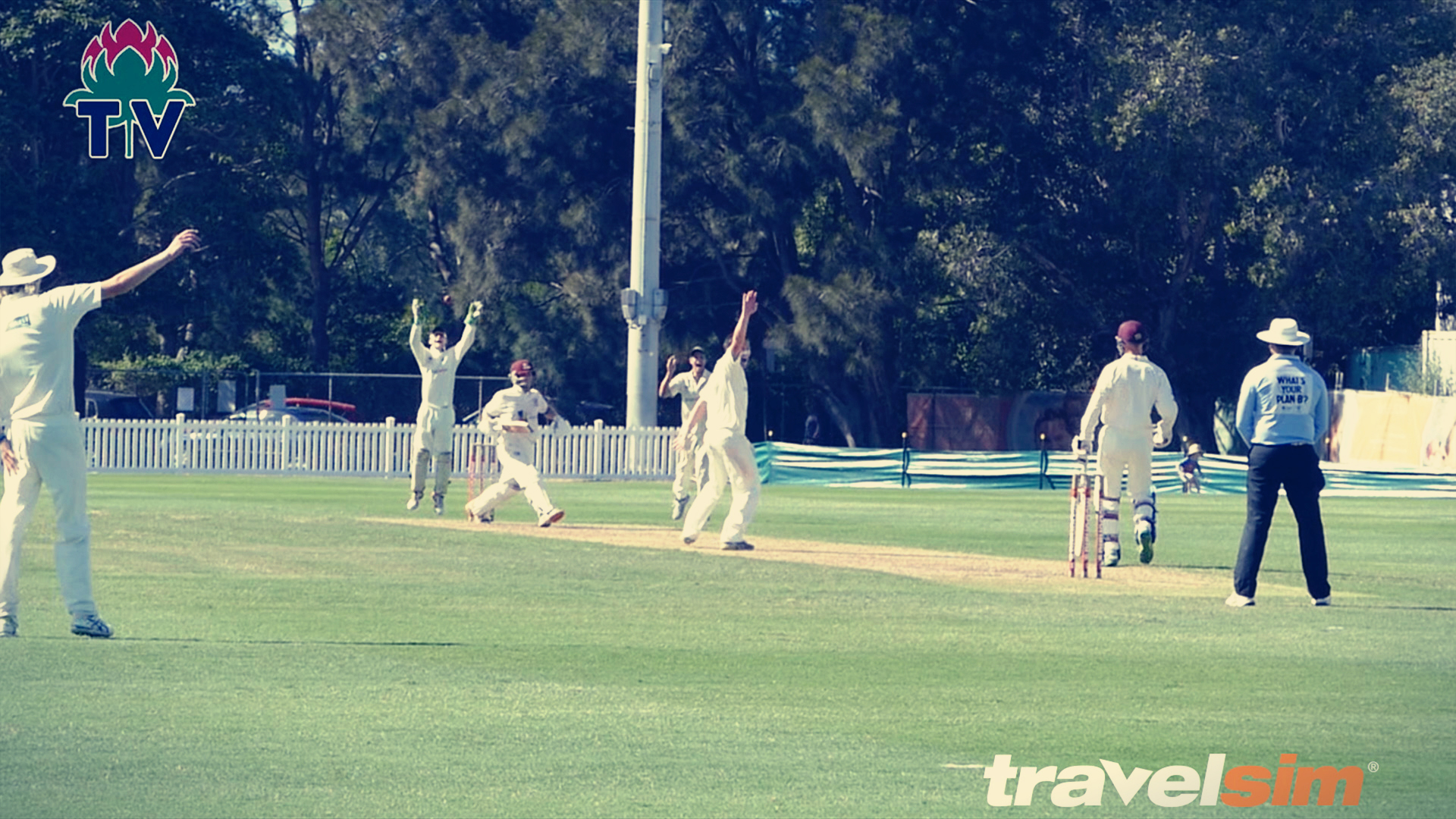 Wickets StGeorge 2s