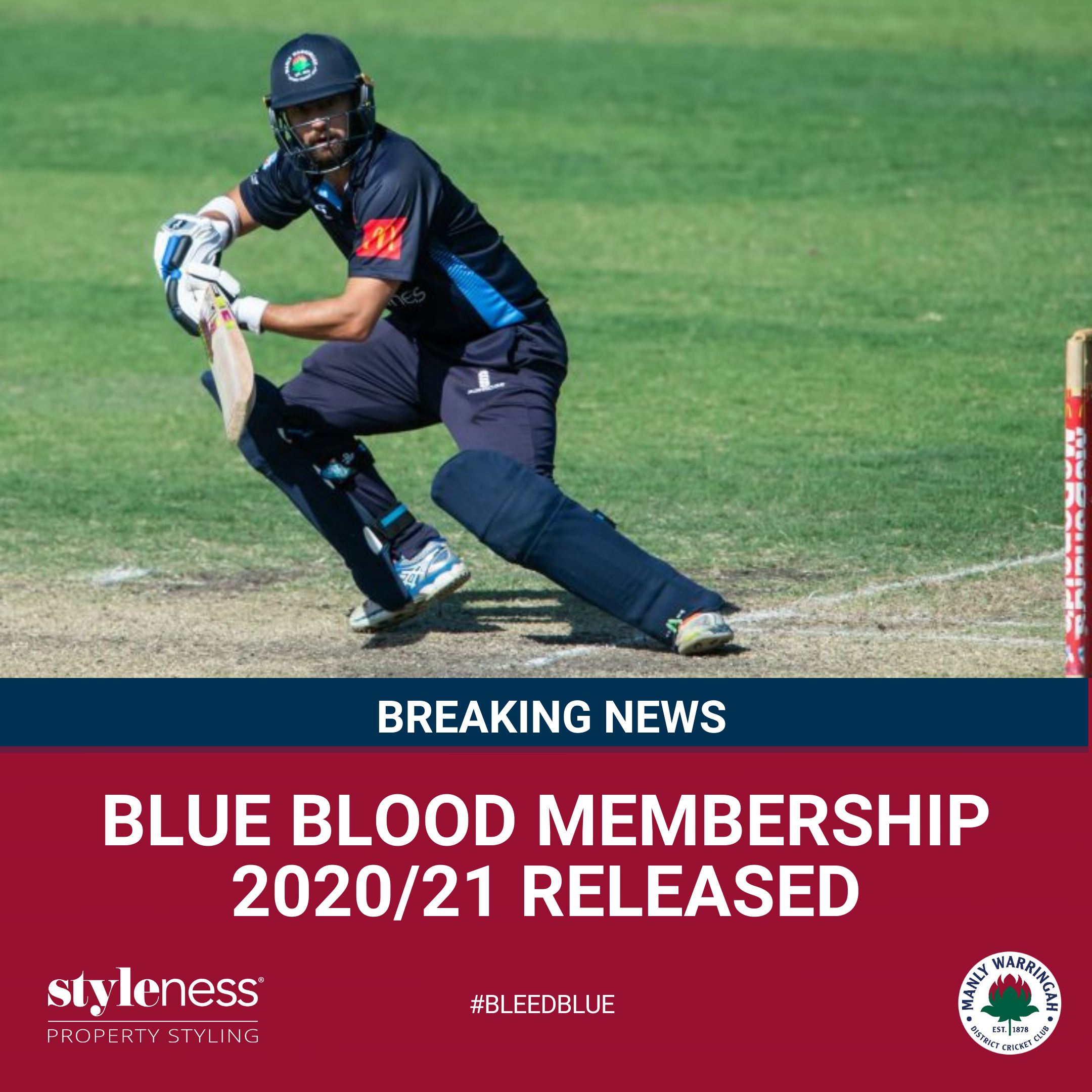 Blue Blood Membership 2020-21