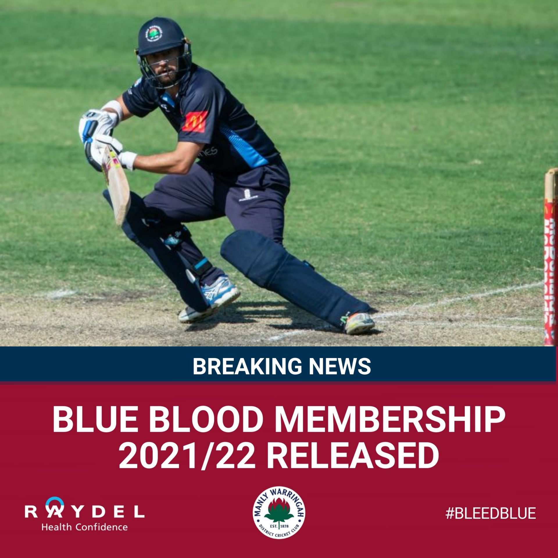 Blue Blood 2021-22