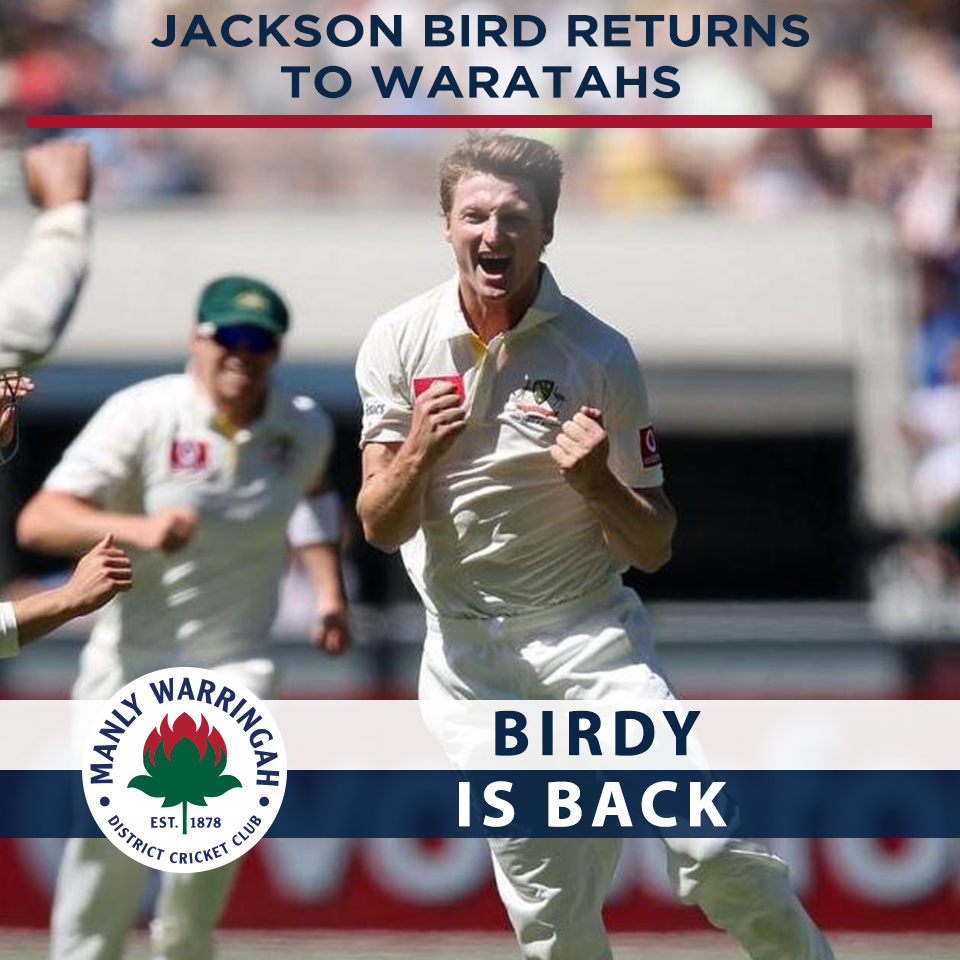 Birdy is back